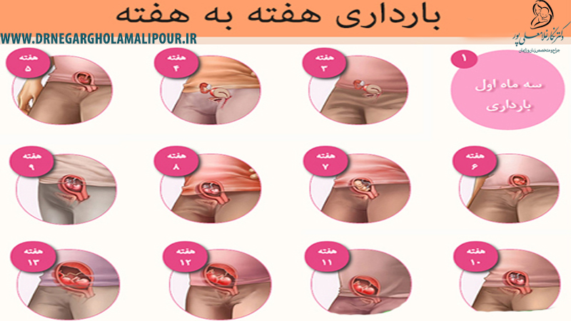 مراقبت های دوران بارداری