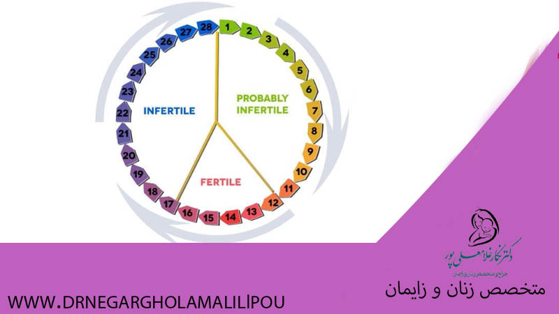 پنجره باروری