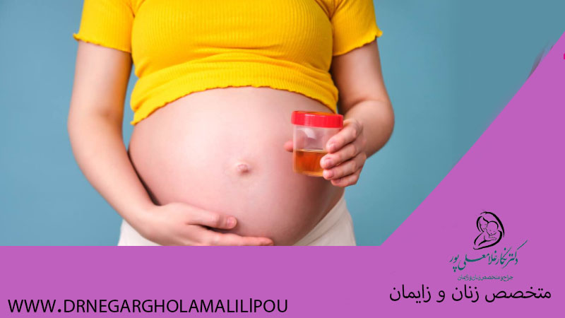دفع پروتئین در بارداری
