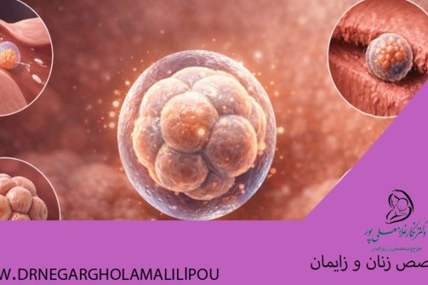 نشانه‌های تخمک بارور شده