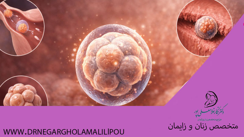 نشانه‌های تخمک بارور شده